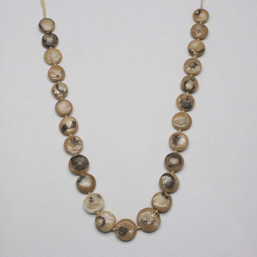 White Coral Strand In Olive Roundel Oval shape