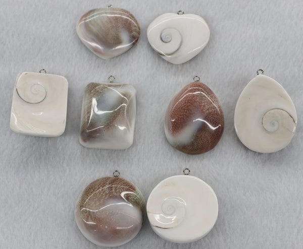 Pendant With Natural Sun Shell Price For 10 PCS